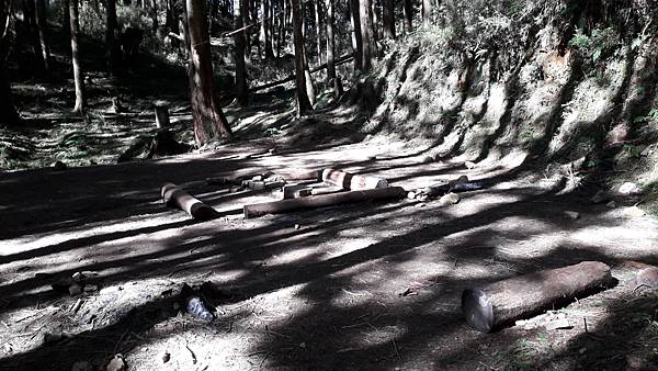 20231003_083446.jpg 20231003_083446.jpg