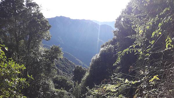 20231003_072424.jpg 20231003_072424.jpg