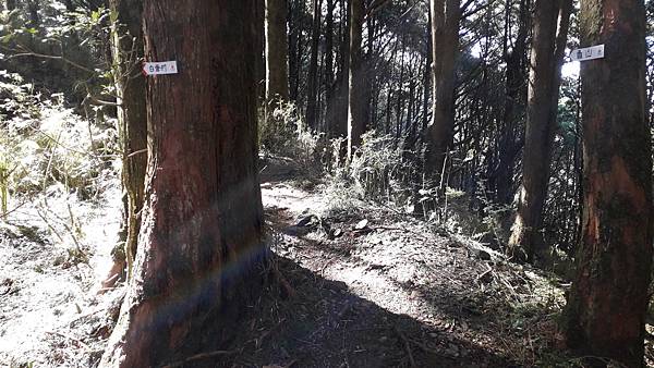 20231003_083747.jpg 20231003_083747.jpg