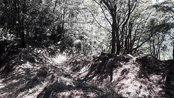 20231003_092048.jpg 20231003_092048.jpg