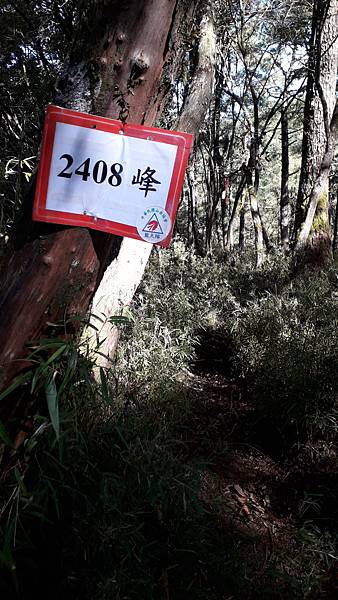 20231003_085902.jpg 20231003_085902.jpg