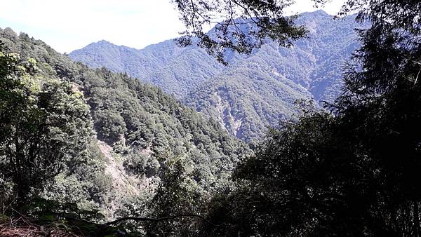 20231003_101311.jpg 20231003_101311.jpg