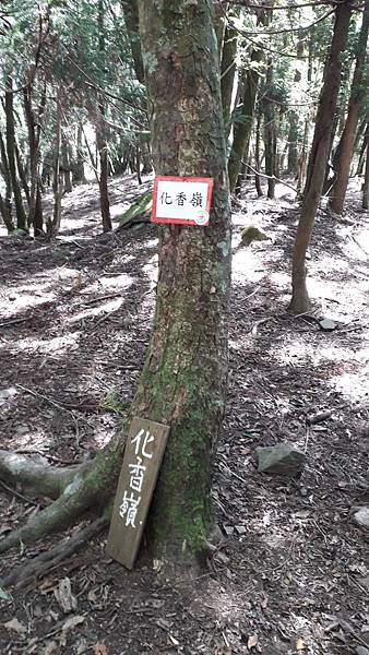 20231003_102344.jpg 20231003_102344.jpg