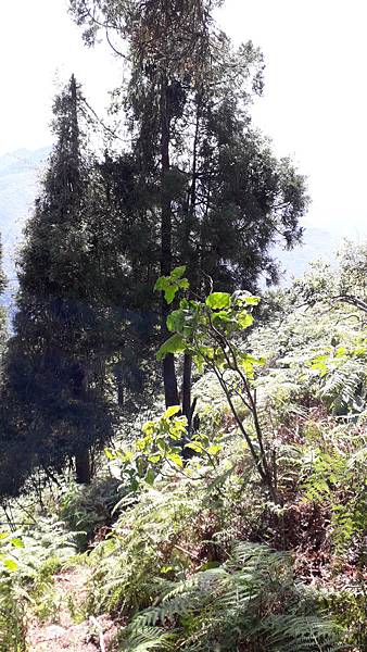 20231003_101511.jpg 20231003_101511.jpg