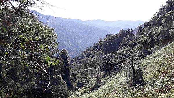 20231003_103727.jpg 20231003_103727.jpg