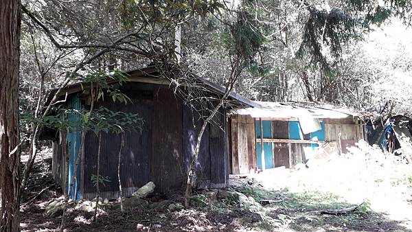 20231003_105236.jpg 20231003_105236.jpg