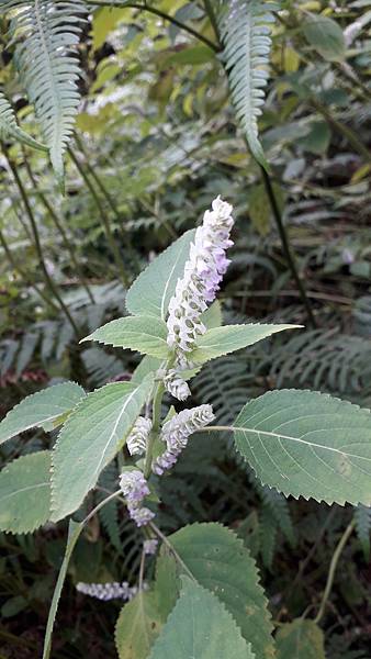 20231003_114204.jpg 20231003_114204.jpg