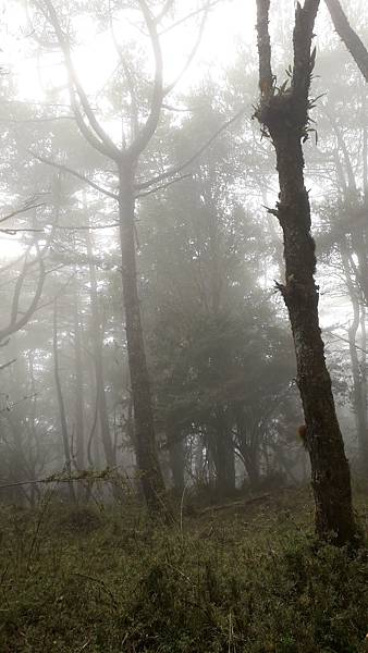 20231003_133656.jpg 20231003_133656.jpg