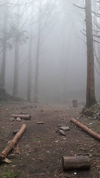 20231003_135720.jpg 20231003_135720.jpg