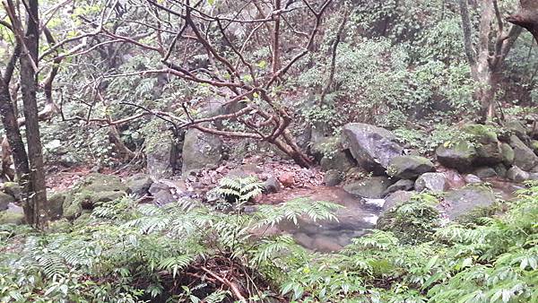 20201125_103756.jpg 20201125_103756.jpg