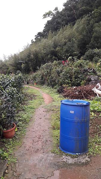 20201125_101042.jpg 20201125_101042.jpg