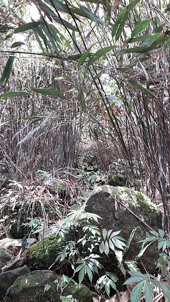 20230516_110523.jpg 20230516_110523.jpg