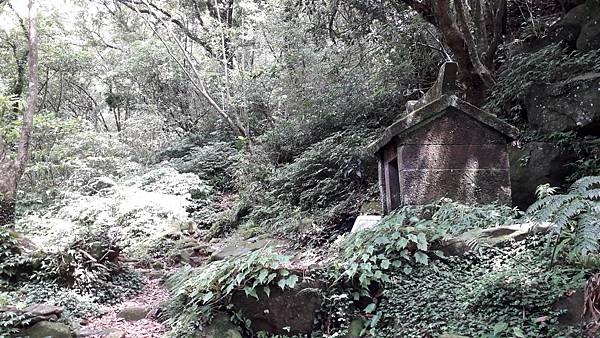 (208金山區)竹子山古道尋幽訪勝~阿里磅瀑布與竹子山北北峰