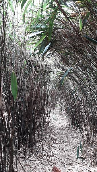 20230516_111533.jpg 20230516_111533.jpg