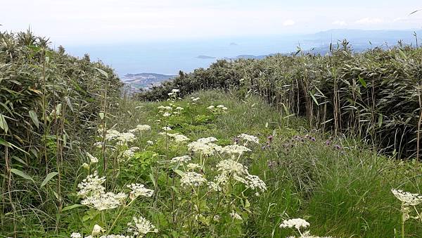 20230516_115349.jpg 20230516_115349.jpg