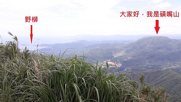 20230516_121136.jpg 20230516_121136.jpg