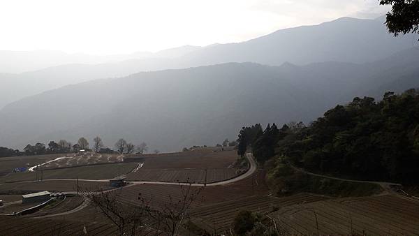 拜訪神木的家~佐米縱走 拜訪神木的家~佐米縱走