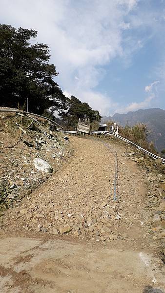 拜訪神木的家~佐米縱走 拜訪神木的家~佐米縱走