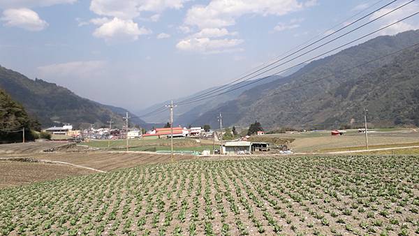 拜訪神木的家~佐米縱走 拜訪神木的家~佐米縱走