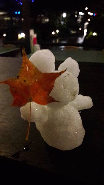 (237三峽區)花岩山林賞雪記