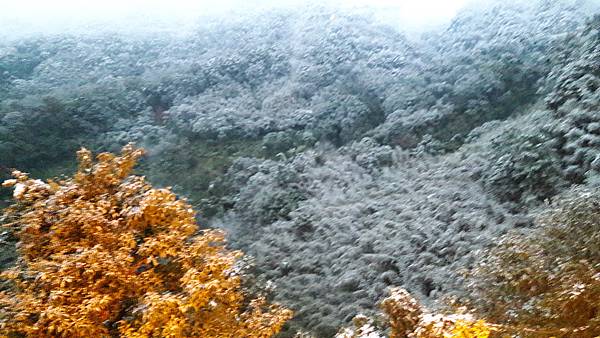 (237三峽區)花岩山林賞雪記