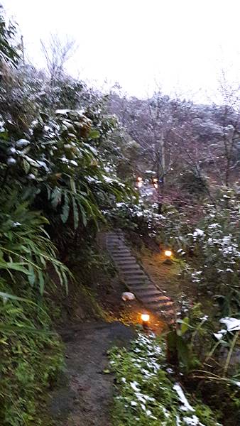 (237三峽區)花岩山林賞雪記