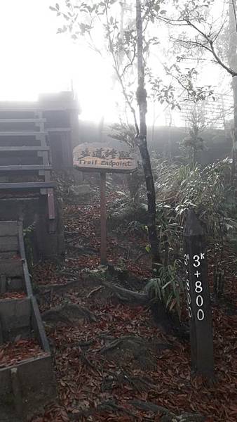 【太平山系】步道彙總 想走的太平山的步道都在這兒 【太平山系】步道彙總 想走的太平山的步道都在這兒