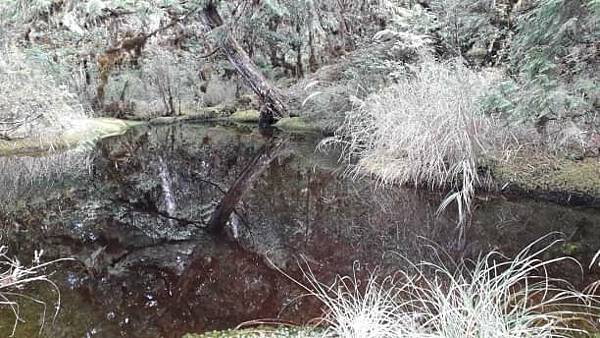 【太平山系】步道彙總 想走的太平山的步道都在這兒 【太平山系】步道彙總 想走的太平山的步道都在這兒