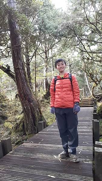 【太平山系】步道彙總 想走的太平山的步道都在這兒 【太平山系】步道彙總 想走的太平山的步道都在這兒