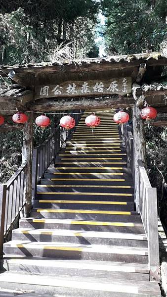 【太平山系】步道彙總 想走的太平山的步道都在這兒