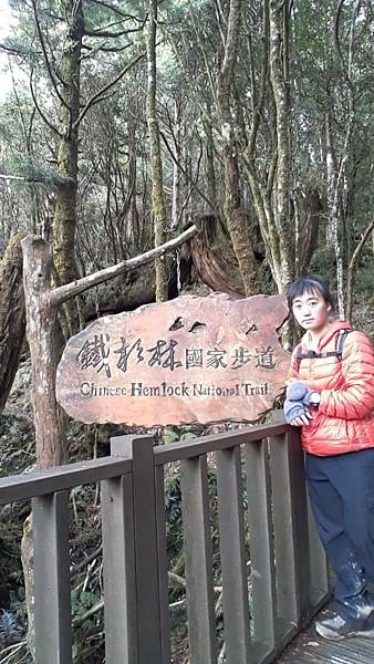 【太平山系】步道彙總 想走的太平山的步道都在這兒 【太平山系】步道彙總 想走的太平山的步道都在這兒