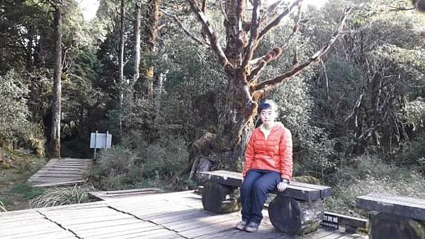 【太平山系】步道彙總 想走的太平山的步道都在這兒 【太平山系】步道彙總 想走的太平山的步道都在這兒