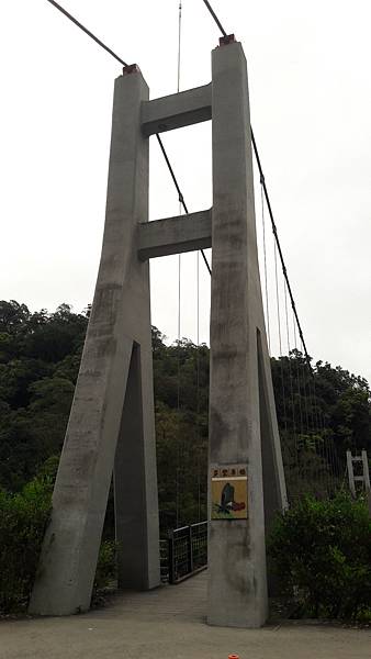 【太平山系🌲】步道大集合 想走的太平山的步道都在這兒🌳