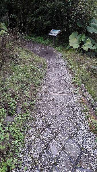 【太平山系🌲】步道大集合 想走的太平山的步道都在這兒🌳