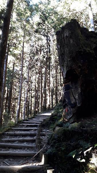 LINE_ALBUM_113.2.22太平山蹦蹦車、茂興步道、俱樂部、中間、長埤湖精靈村、宜農牧場_2402251.jpg LINE_ALBUM_113.2.22太平山蹦蹦車、茂興步道、俱樂部、中間、長埤湖精靈村、宜農牧場_2402251.jpg