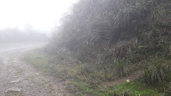 【夢幻國度】四神縱走 蘭崁大白山 【夢幻國度】四神縱走 蘭崁大白山