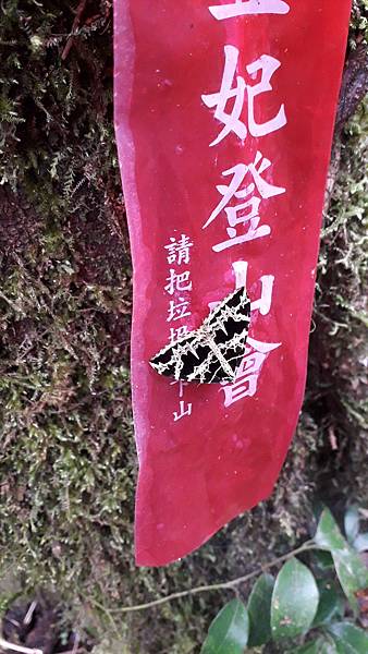 【夢幻國度】四神縱走 蘭崁大白山 【夢幻國度】四神縱走 蘭崁大白山