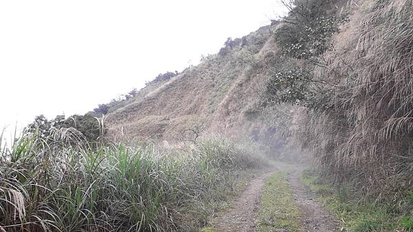 【夢幻國度】四神縱走 蘭崁大白山 【夢幻國度】四神縱走 蘭崁大白山