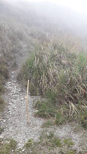 【夢幻國度】四神縱走 蘭崁大白山 【夢幻國度】四神縱走 蘭崁大白山