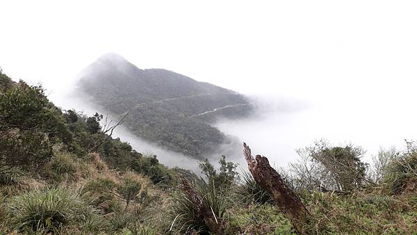 【夢幻國度】四神縱走 蘭崁大白山 【夢幻國度】四神縱走 蘭崁大白山