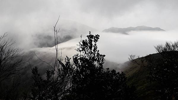【夢幻國度】四神縱走 蘭崁大白山 【夢幻國度】四神縱走 蘭崁大白山
