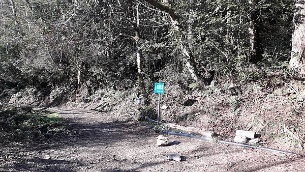 【夢幻國度】四神湯の縱走(神社、神代山、神代池、神木)&蘭崁