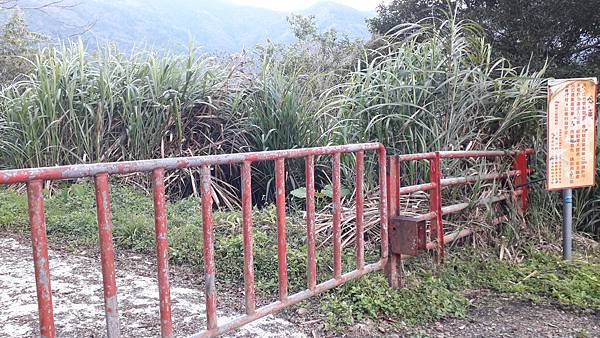 【夢幻國度】四神湯の縱走(神社、神代山、神代池、神木)&蘭崁