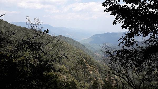 【夢幻國度】四神湯の縱走(神社、神代山、神代池、神木)&蘭崁