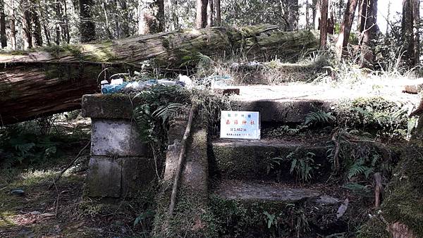 【夢幻國度】四神湯の縱走(神社、神代山、神代池、神木)&蘭崁