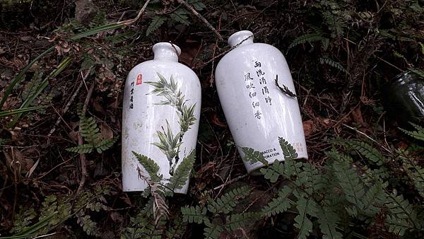 【夢幻國度】四神湯の縱走(神社、神代山、神代池、神木)&蘭崁
