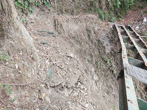 新康山、布拉克桑山~未完待續的新康+補課~錦毛鼠 百岳行