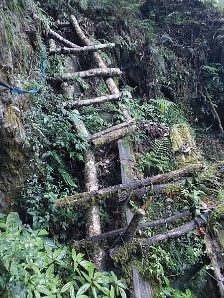 新康山、布拉克桑山~未完待續的新康+補課~錦毛鼠 百岳行