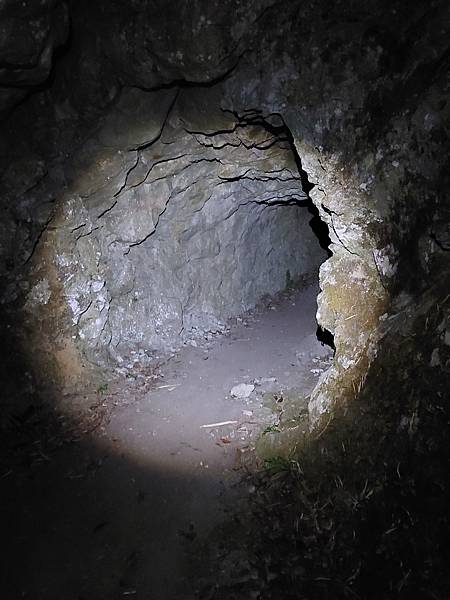 新康山、布拉克桑山~未完待續的新康+補課~錦毛鼠 百岳行