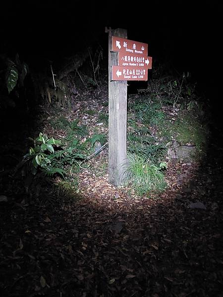 新康山、布拉克桑山~未完待續的新康+補課~錦毛鼠 百岳行